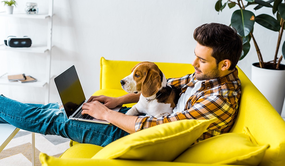 BPCAonlinelearningondemandpestcontrolcourses BPCAonlinelearningondemandpestcontrolcourses